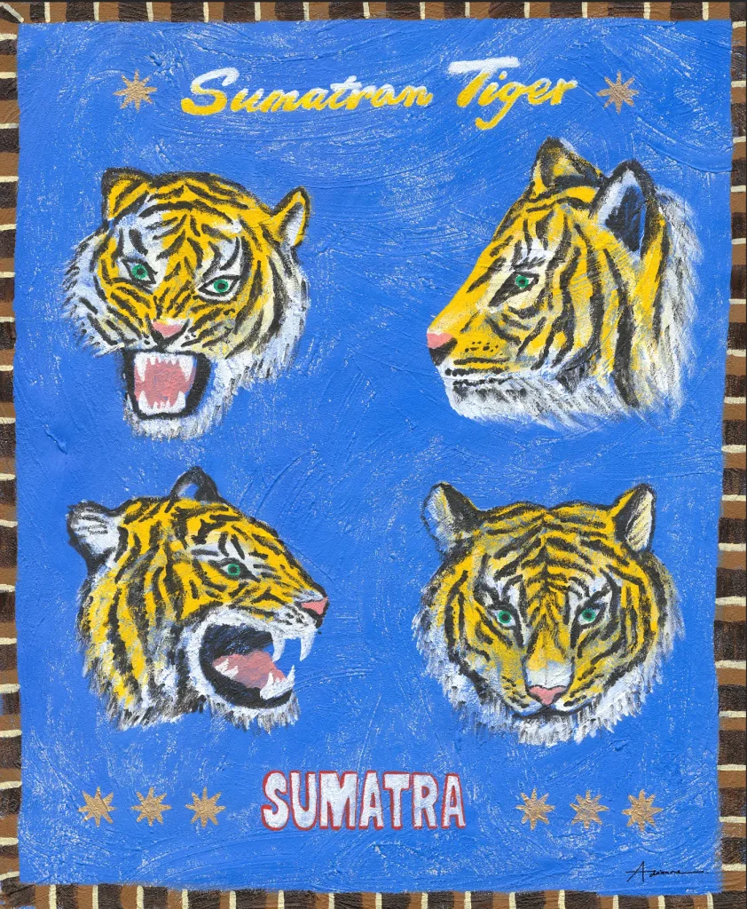 The Sumatran Tiger – Adrianne Dimitrakakis