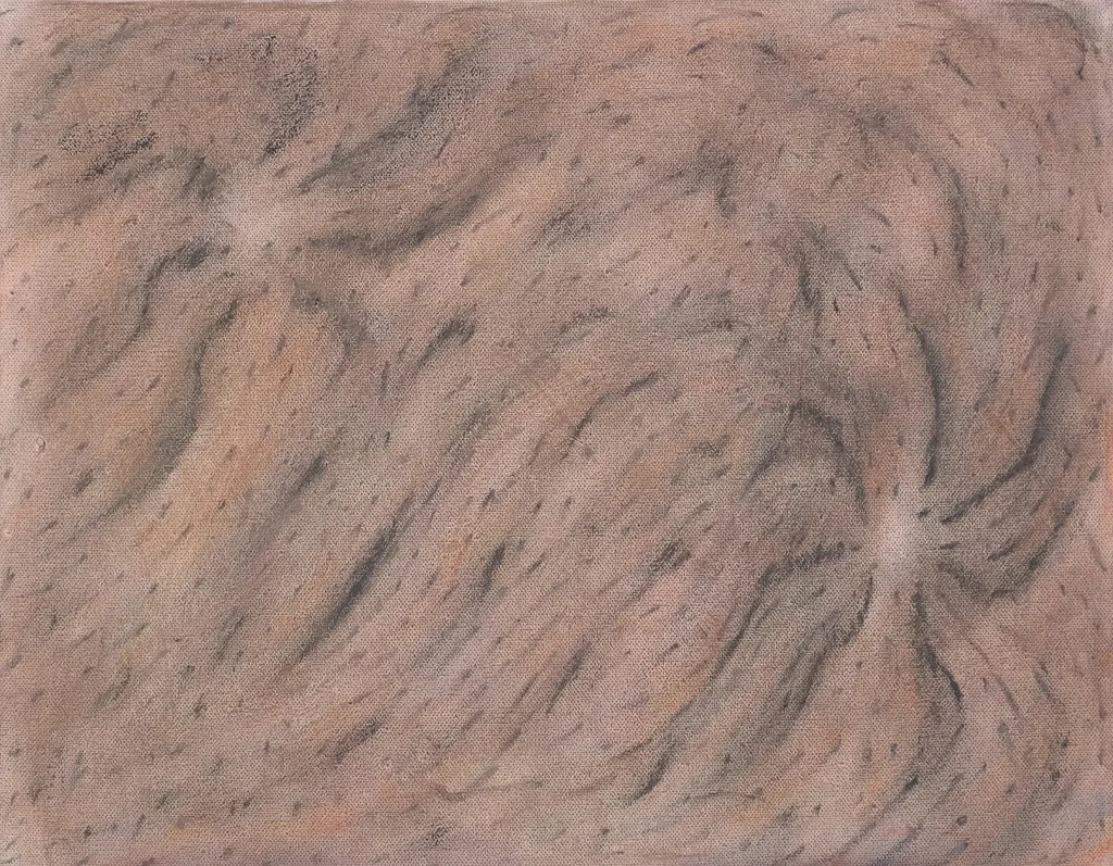 Algae – Aharimu